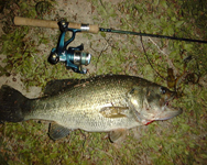 �u���b�N�o�X