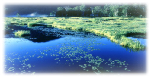 �s��������