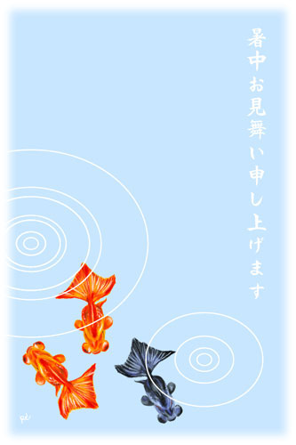 �q�����b��������